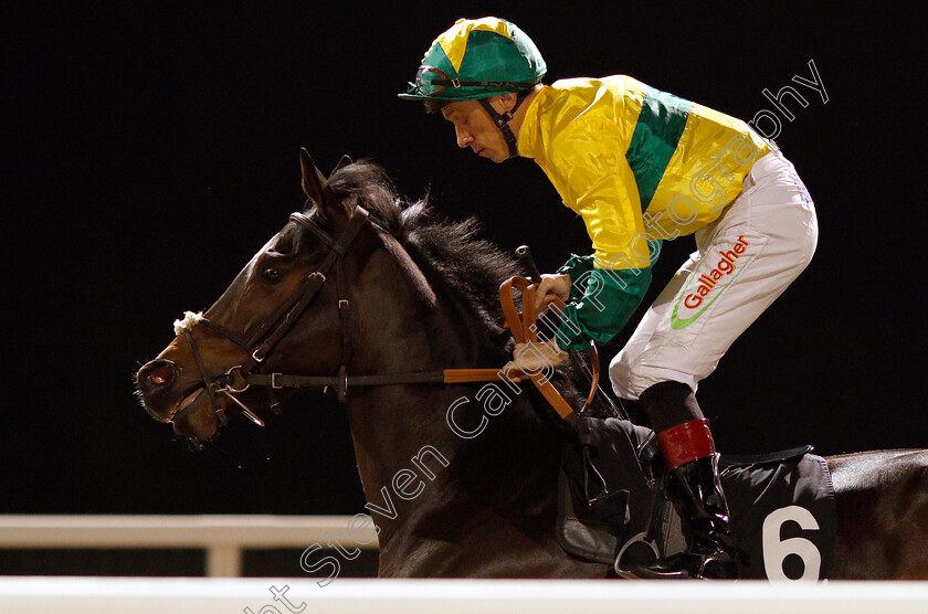 Torolight-0001 
 TOROLIGHT (Shane Kelly)
Chelmsford 21 Feb 2019 - Pic Steven Cargill / Racingfotos.com