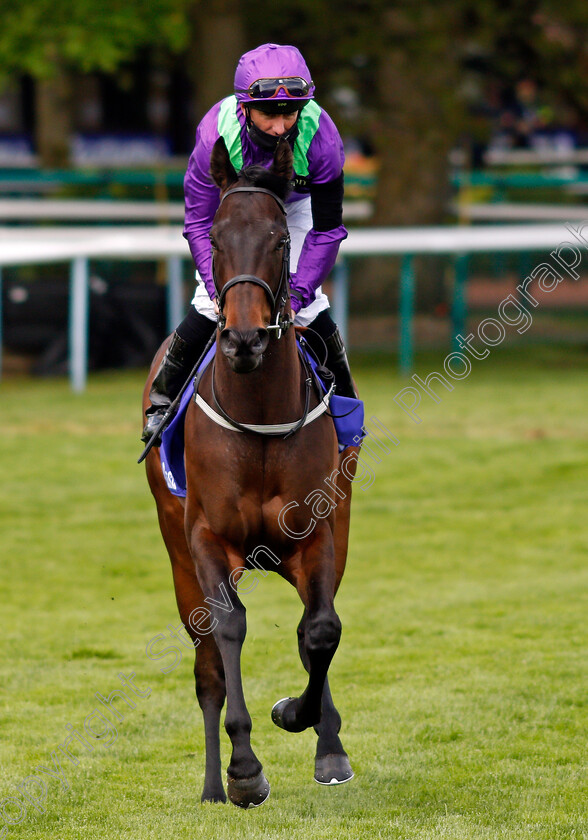 Master-Zoffany-0001 
 MASTER ZOFFANY (Paul Hanagan)
Haydock 22 May 2021 - Pic Steven Cargill / Racingfotos.com