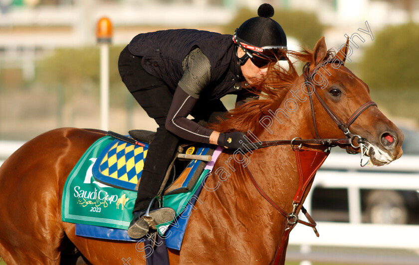 Taiba-0008 
 TAIBA training for the Saudi Cup
King Abdulaziz Racecourse, Kingdom Of Saudi Arabia, 23 Feb 2023 - Pic Steven Cargill / Racingfotos.com