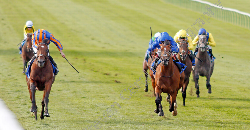 New-World-Tapestry-0007 
 NEW WORLD TAPESTRY (left, Ryan Moore) beats COLOUR IMAGE (right) in The Derrinstown Irish EBF Maiden Stakes
Newmarket 27 Sep 2019 - Pic Steven Cargill / Racingfotos.com