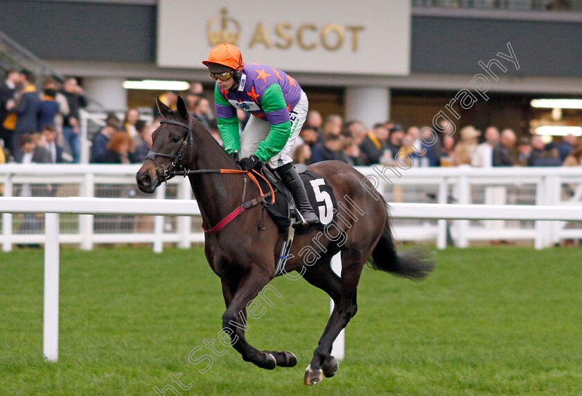 Khutulun-Khan-0001 
 KHUTULUN KHAN (Nico de Boinville)
Ascot 17 Feb 2024 - Pic Steven Cargill / Racingfotos.com