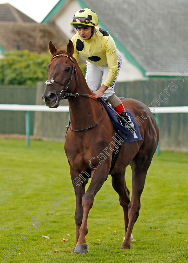 Zabeel-Prince-0001 
 ZABEEL PRINCE (Andrea Atzeni) winner of The Sea-Deer Handicap Yarmouth 20 Sep 2017 - Pic Steven Cargill / Racingfotos.com