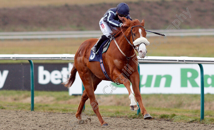 Harvey-Dent-0008 
 HARVEY DENT (Hollie Doyle) wins The Ladbrokes Home Of The Odds Boost Novice Median Auction Stakes
Lingfield 25 Jan 2019 - Pic Steven Cargill / Racingfotos.com