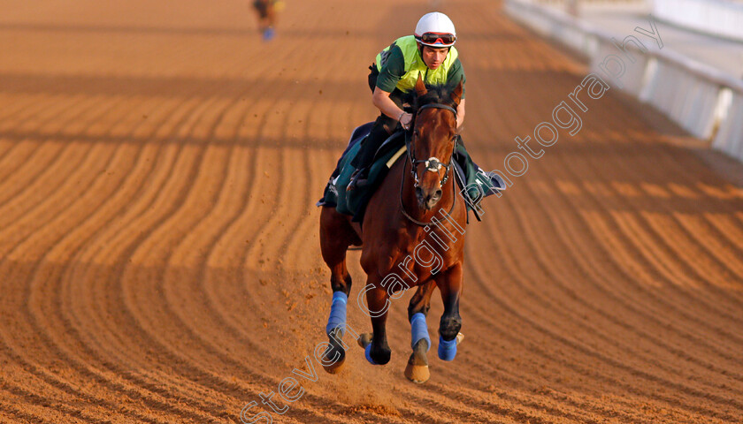 Mishriff-0004 
 MISHRIFF training for the Saudi Cup
King Abdulaziz Racetrack, Riyadh, Saudi Arabia 24 Feb 2022 - Pic Steven Cargill / Racingfotos.com