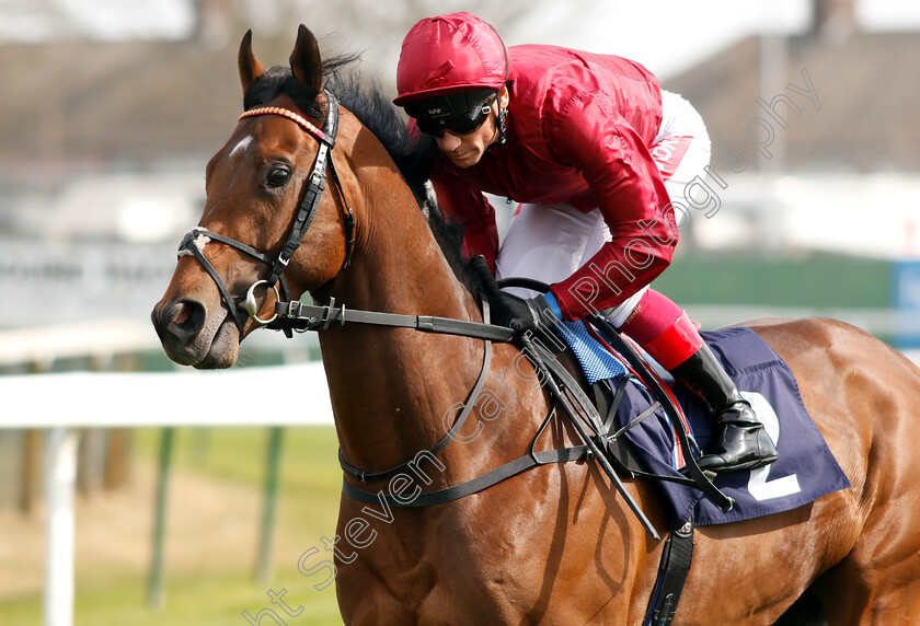 King-Of-Comedy-0003 
 KING OF COMEDY (Frankie Dettori) winner of The Eastern Power Systems Of Norwich Novice Stakes
Yarmouth 23 Apr 2019 - Pic Steven Cargill / Racingfotos.com