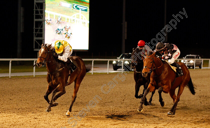 Pinnata-0001 
 PINNATA (left, Sean Levey) beats CARNIVAL KING (right) in The totescoop6 The Millionaire Maker Handicap Chelmsford 16 Nov 2017 - Pic Steven Cargill / Racingfotos.com