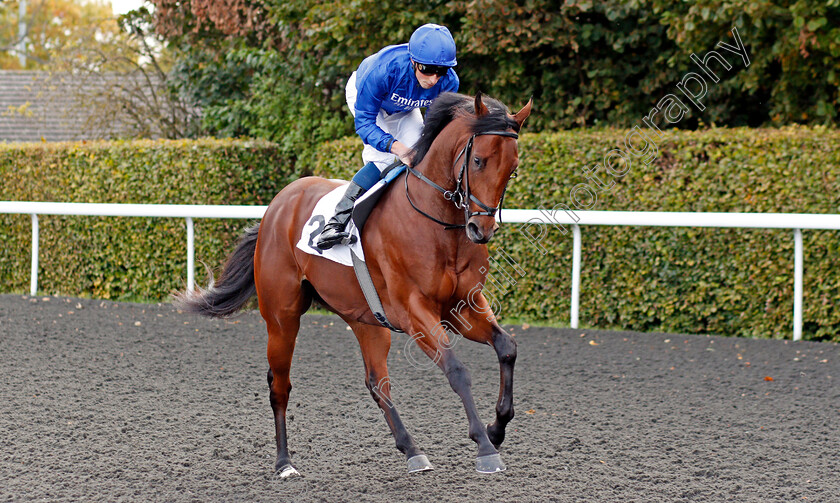 Desert-Peace-0001 
 DESERT PEACE (William Buick) before The Close Brothers British Stallion Studs EBF Novice Stakes
Kempton 9 Oct 2019 - Pic Steven Cargill / Racingfotos.com