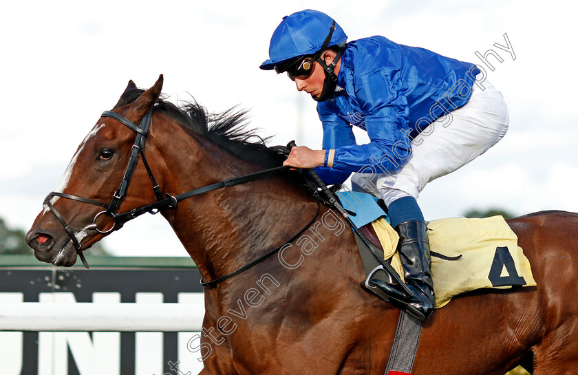 Renaissance-Rose-0004 
 RENAISSANCE ROSE (William Buick) wins The Unibet Extra Race Offers Every Day Fillies Novice Stakes
Kempton 18 Aug 2020 - Pic Steven Cargill / Racingfotos.com