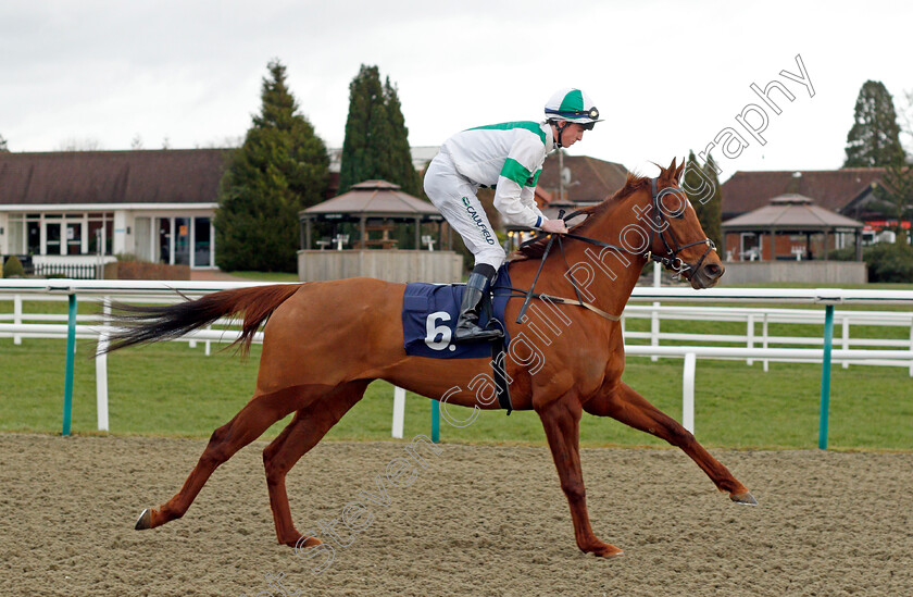 Starry-Eyes 
 STARRY EYES (Darragh Keenan)
Lingfield 5 Feb 2022 - Pic Steven Cargill / Racingfotos.com