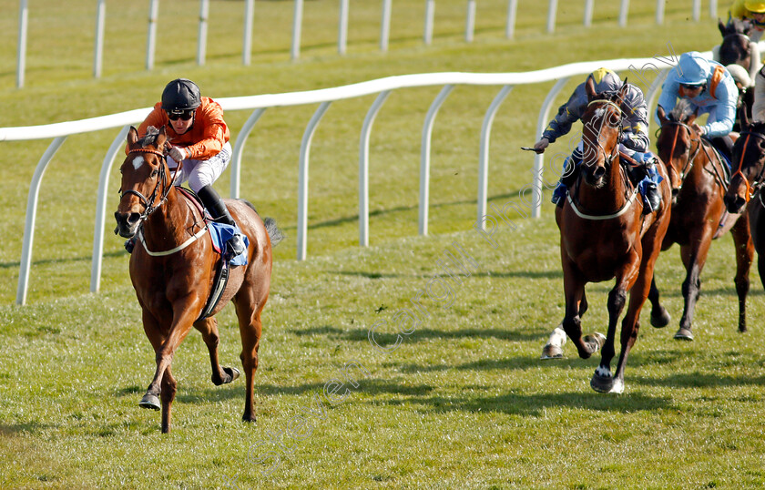 Kingmania-0002 
 KINGMANIA (Pat Cosgrave) beats FORBIDDEN BEAUTY (right) in The leicester-racecourse.co.uk Handicap
Leicester 24 Apr 2021 - Pic Steven Cargill / Racingfotos.com