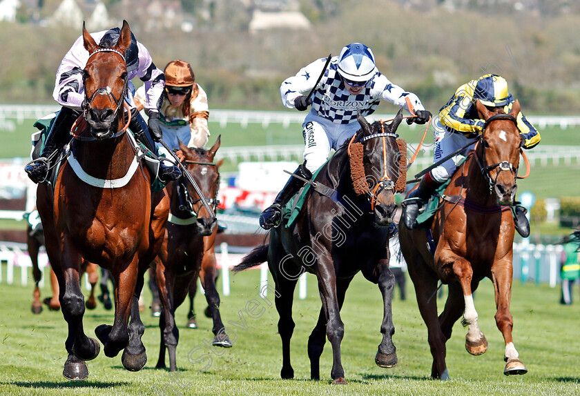 Champagne-Express-0003 
 CHAMPAGNE EXPRESS (left, James Bowen) beats VIVAS (centre) in The Kingston Stud Supporting Greatwood Handicap Hurdle Cheltenham 18 Apr 2018 - Pic Steven Cargill / Racingfotos.com