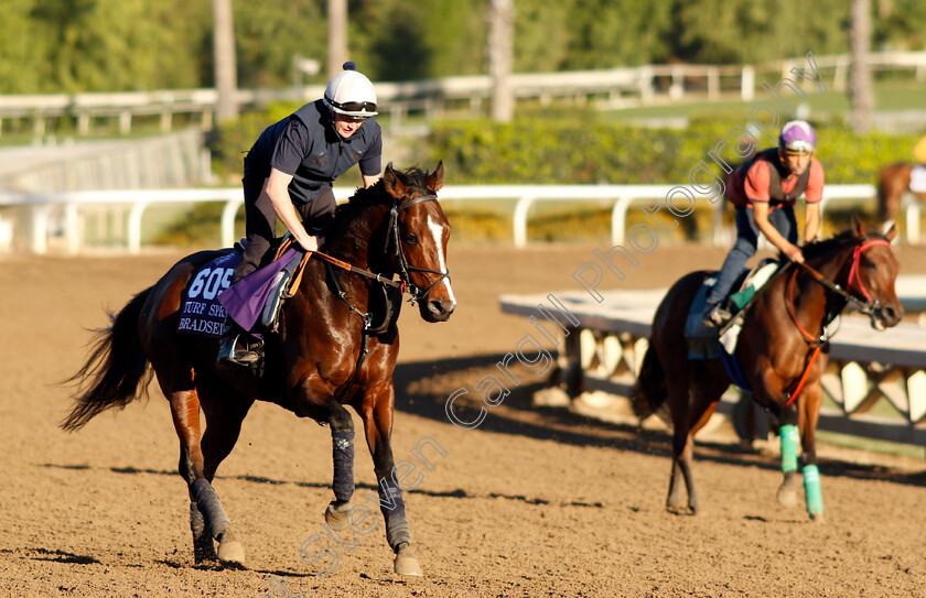 Bradsell-0001 
 BRADSELL training for The Breeders' Cup Turf Sprint
Santa Anita USA, 31 October 2023 - Pic Steven Cargill / Racingfotos.com