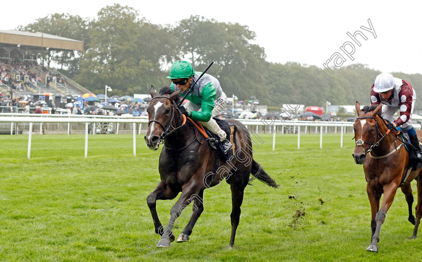 Out-Of-Shadows-0002 
 OUT OF SHADOWS (Benoit de la Sayette) wins The Ian Angry Anderson 50th Birthday Celebration Handicap
Newmarket 5 Aug 2023 - Pic Steven Cargill / Racingfotos.com