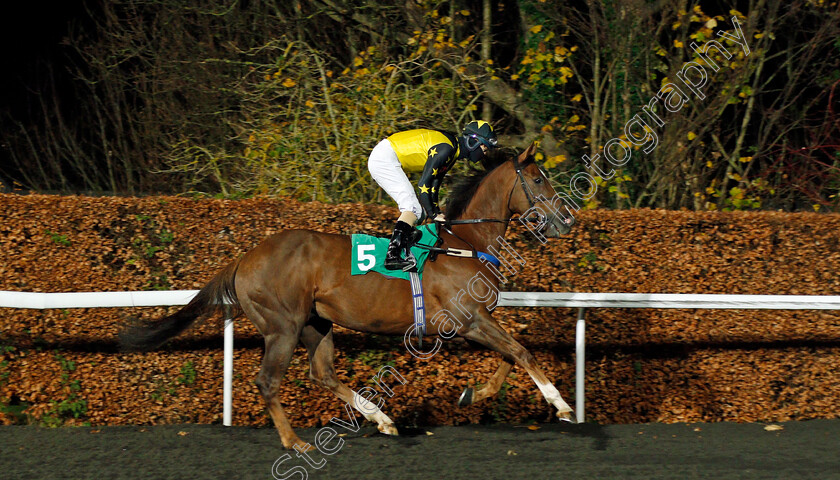 Tawny-Port-0001 
 TAWNY PORT (Richard Kingscote)
Kempton 2 Dec 2020 - Pic Steven Cargill / Racingfotos.com