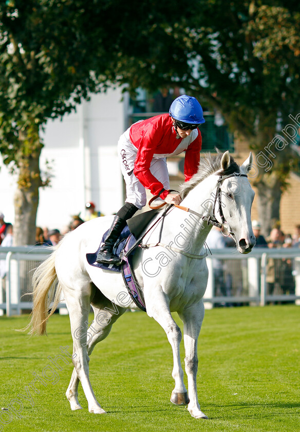 Estrange-0003 
 ESTRANGE (Daniel Tudhope)
Yarmouth 18 Sep 2024 - Pic Steven Cargill / Racingfotos.com