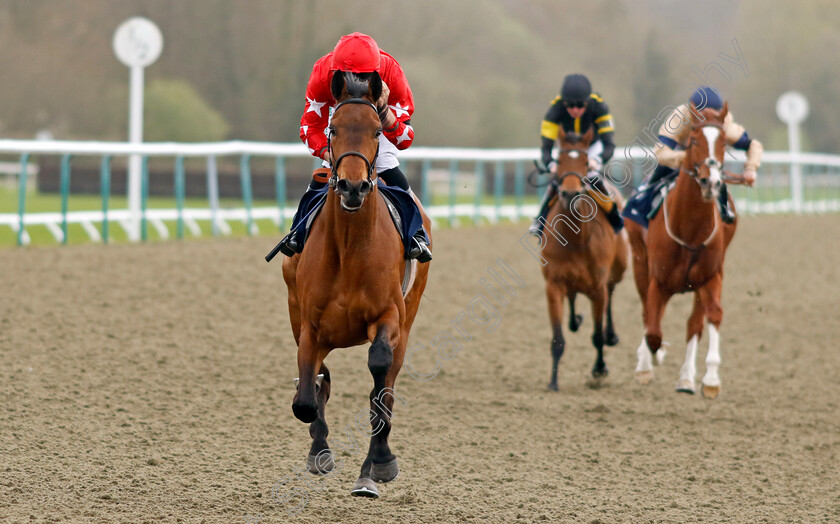 Road-To-Wembley-0003 
 ROAD TO WEMBLEY (Finley Marsh) wins The Download The Raceday Ready App Handicap
Lingfield 4 Apr 2024 - Pic Steven Cargill / Racingfotos.com