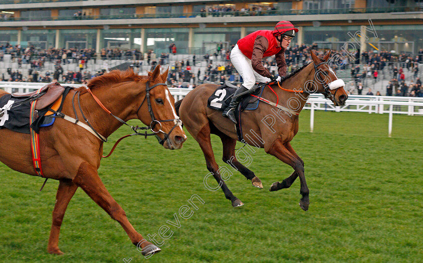 Marinero-0002 
 MARINERO (David Maxwell) wins The Colts & Fillies Club Open Hunters Chase Ascot 25 Mar 2018 - Pic Steven Cargill / Racingfotos.com