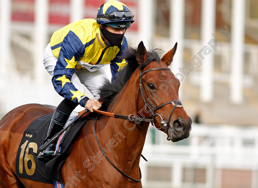 Surrey-Gold-0001 
 SURREY GOLD (Richard Kingscote)
Nottingham 24 Oct 2020 - Pic Steven Cargill / Racingfotos.com