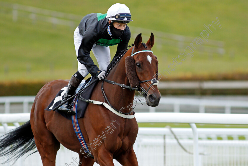 Always-Resolute-0002 
 ALWAYS RESOLUTE (Gavin Ashton)
Goodwood 11 Oct 2020 - Pic Steven Cargill / Racingfotos.com