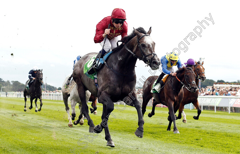 Roaring-Lion-0007 
 ROARING LION (Oisin Murphy) beats POET'S WORD (right) in The Juddmonte International Stakes
York 22 Aug 2018 - Pic Steven Cargill / Racingfotos.com