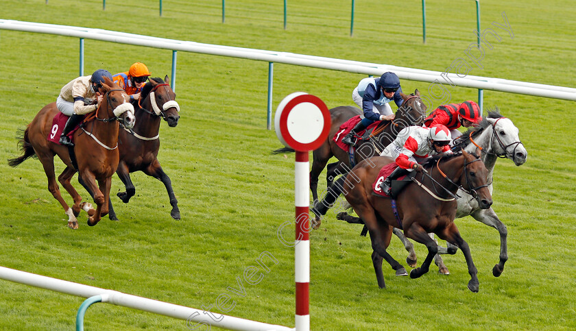 Count-D Orsay-0003 
 COUNT D'ORSAY (David Allan) wins The Betfair Each Way Edge Be Friendly Handicap
Haydock 5 Sep 2020 - Pic Steven Cargill / Racingfotos.com