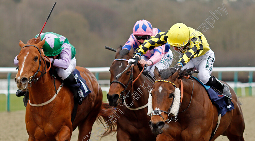 Ornate-0005 
 ORNATE (right, Phil Dennis) beats LIHOU (left) in The Betway Handicap
Lingfield 6 Mar 2021 - Pic Steven Cargill / Racingfotos.com