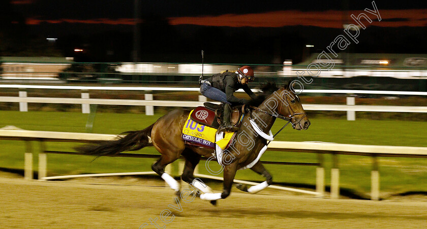 Catholic-Boy-0003 
 CATHOLIC BOY exercising ahead of The Breeders' Cup Classic
Churchill Downs USA 31 Oct 2018 - Pic Steven Cargill / Racingfotos.com