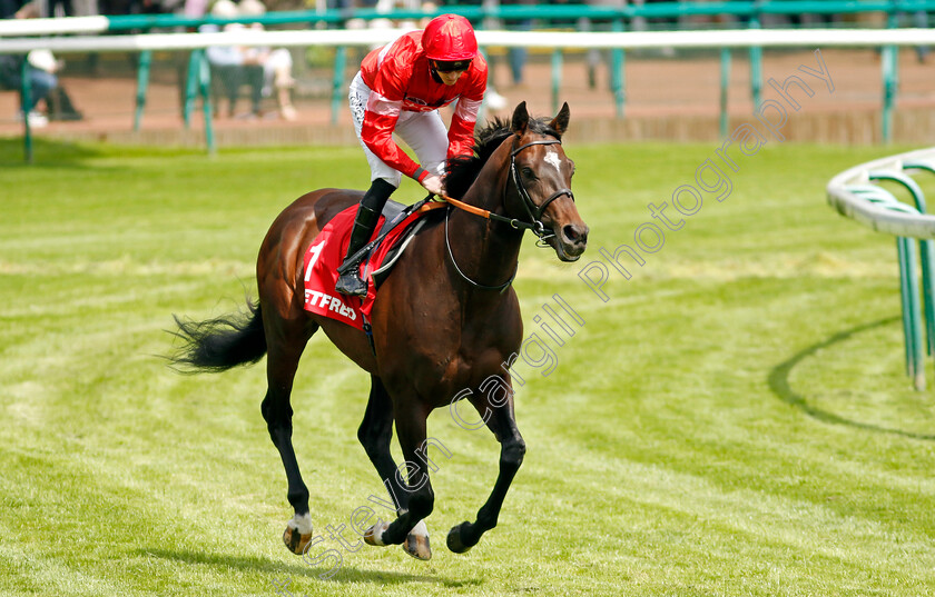 Blue-Lemons-0001 
 BLUE LEMONS (James Doyle)
Haydock 25 May 2024 - Pic Steven cargill / Racingfotos.com