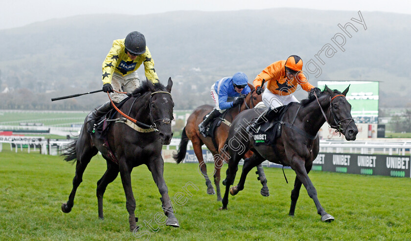 Harambe-0004 
 HARAMBE (left, Tom Bellamy) beats MONSIEUR LECOQ (right) in The Unibet Greatwood Handicap Hurdle
Cheltenham 17 Nov 2019 - Pic Steven Cargill / Racingfotos.com