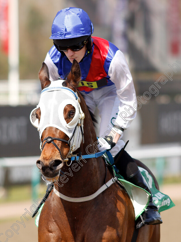 Suzi s-Connoisseur-0001 
 SUZI'S CONNOISSEUR (Paddy Bradley)
Lingfield 19 Apr 2019 - Pic Steven Cargill / Racingfotos.com