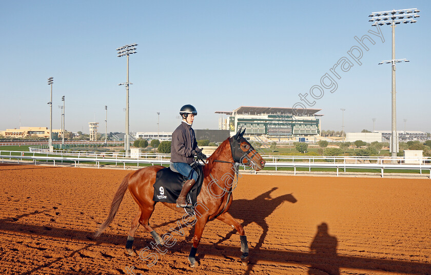 Sekifu-0002 
 SEKIFU training for The Saudi Derby
King Abdulaziz Racetrack, Riyadh, Saudi Arabia 22 Feb 2022 - Pic Steven Cargill / Racingfotos.com