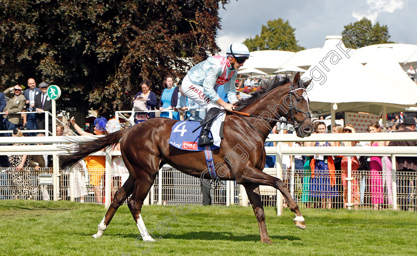 Lordship-0001 
 LORDSHIP (Tom Marquand)
York 26 Aug 2023 - Pic Steven Cargill / Racingfotos.com