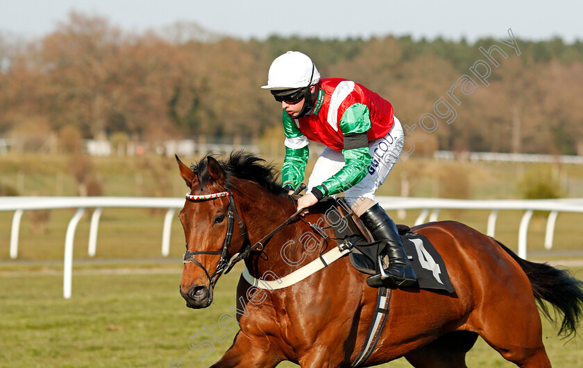 Rooster-Cogburn-0004 
 ROOSTER COGBURN (Sean Bowen) wins The Mansionbet Proud To Support British Racing Handicap Chase
Market Rasen 19 Apr 2021 - Pic Steven Cargill / Racingfotos.com