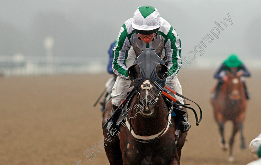 Author s-Dream-0005 
 AUTHOR'S DREAM (Jason Watson) wins The Betway Apprentice Handicap Lingfield 3 Mar 2018 - Pic Steven Cargill / Racingfotos.com