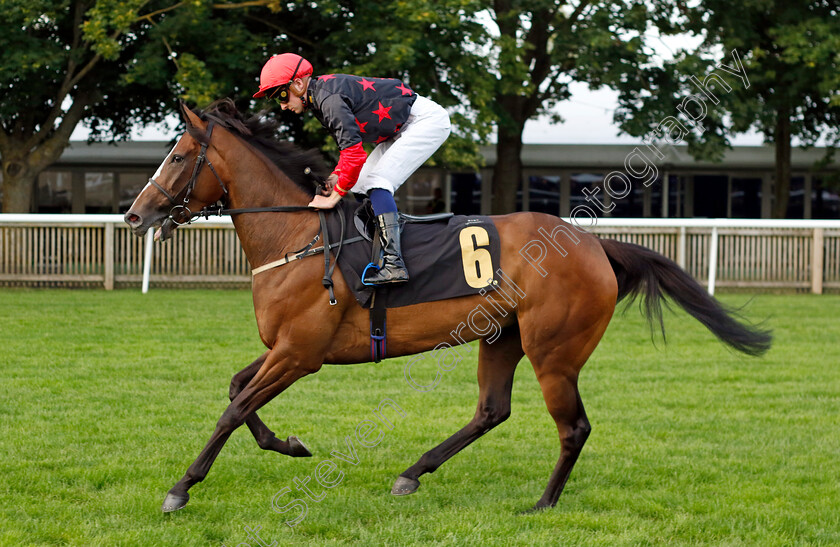 Miss-Bling-Bling-0001 
 MISS BLING BLING (Adam Farragher)
Newmarket 28 Jul 2023 - Pic Steven Cargill / Racingfotos.com