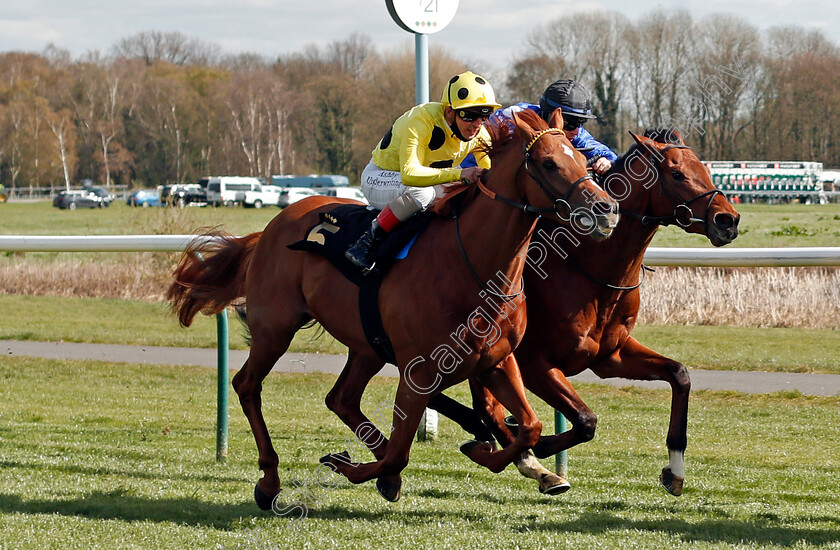 Mashhoor-0005 
 MASHHOOR (right, Richard Kingscote) beats DUBAWI SANDS (left) in The Mansionbet Bet 10 Get 20 Novice Stakes
Nottingham 7 Apr 2021 - Pic Steven Cargill / Racingfotos.com