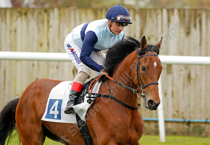 Adams-Park-0001 
 ADAMS PARK (Andrea Atzeni) Leicester 28 Apr 2018 - Pic Steven Cargill / Racingfotos.com