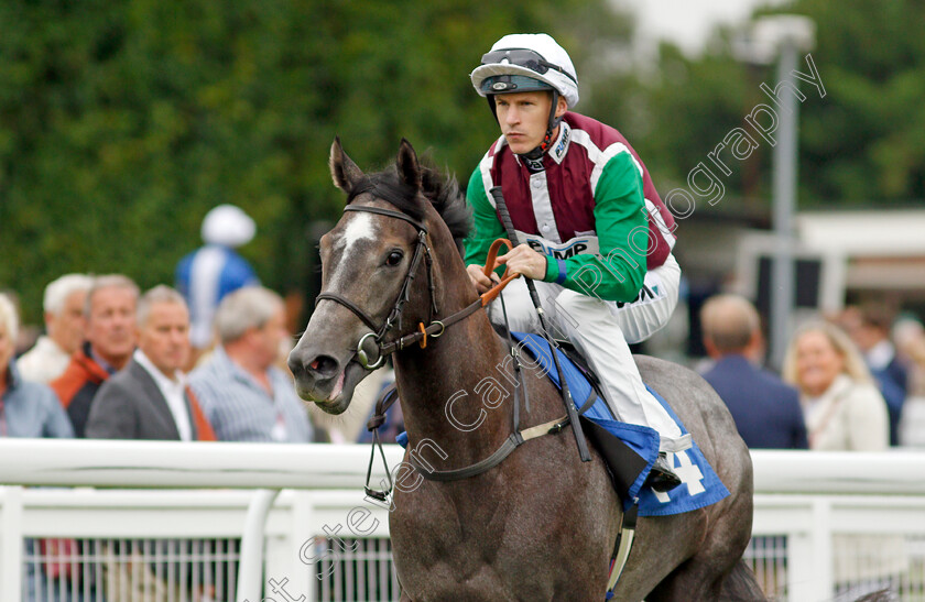 Silverdale-0001 
 SILVERDALE (Richard Kingscote) 
Salisbury 12 Aug 2021 - Pic Steven Cargill / Racingfotos.com