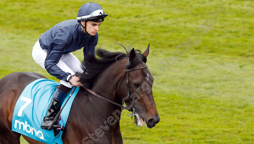 Sir-Dragonet-0001 
 SIR DRAGONET (Donnacha O'Brien) winner of The MBNA Chester Vase 
Chester 8 May 2019 - Pic Steven Cargill / Racingfotos.com