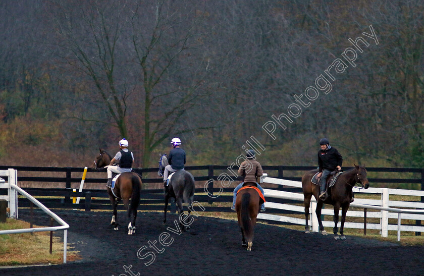 Breeders -Cup-0002 
 Horses leaving the training track at the Breeders' Cup 
Keeneland, USA 31 Oct 2022 - Pic Steven Cargill / Racingfotos.com