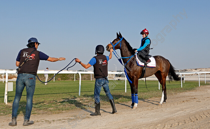 Deirdre-0001 
 DEIRDRE (Hollie Doyle) training for the Bahrain International Trophy
Rashid Equestrian & Horseracing Club, Bahrain, 19 Nov 2020 - Pic Steven Cargill / Racingfotos.com