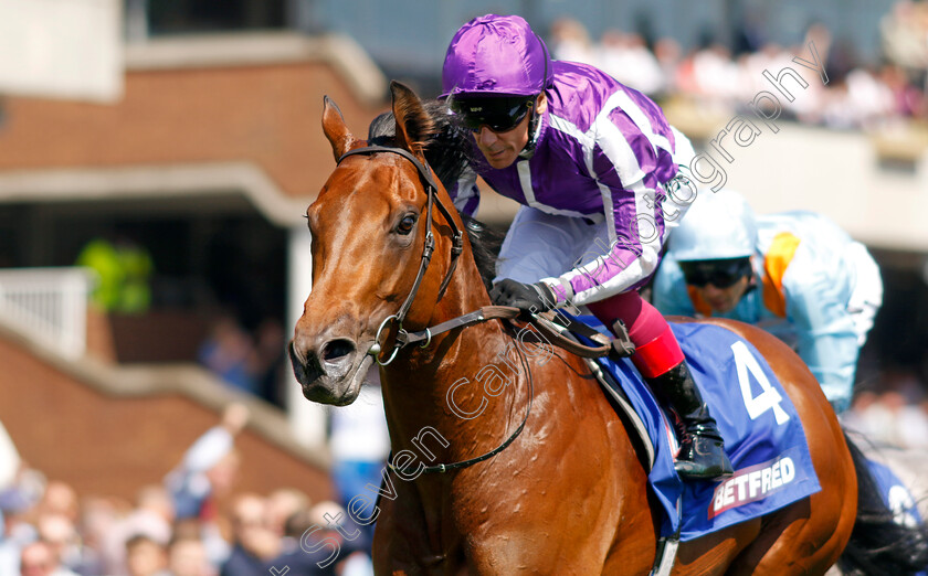 Little-Big-Bear-0002 
 LITTLE BIG BEAR (Frankie Dettori) wins The Betfred Nifty Fifty Sandy Lane Stakes
Haydock 27 May 2023 - pic Steven Cargill / Racingfotos.com