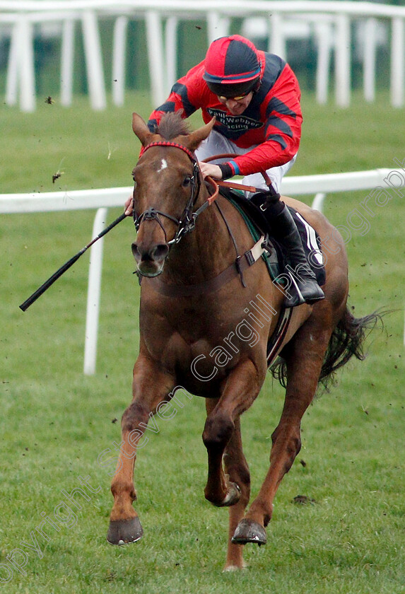 House-Island-0006 
 HOUSE ISLAND (Gavin Sheehan) wins The Racing TV Standard Open National Hunt Flat Race
Newbury 22 Mar 2019 - Pic Steven Cargill / Racingfotos.com