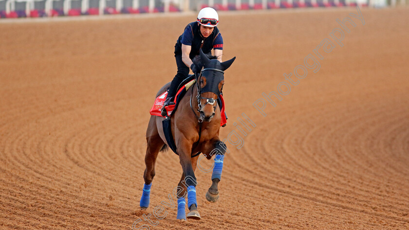 Trawlerman-0002 
 TRAWLERMAN training for The Red Sea Turf Handicap
King Abdulaziz Racecourse, Kingdom of Saudi Arabia, 22 Feb 2023 - Pic Steven Cargill / Racingfotos.com