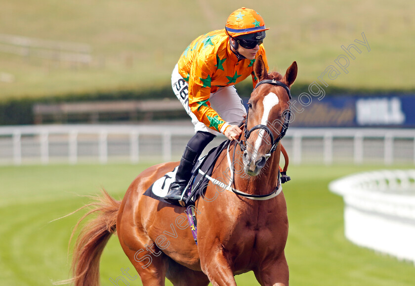 Tenerife-Sunshine-0001 
 TENERIFE SUNSHINE (Richard Kingscote)
Goodwood 27 Aug 2022 - Pic Steven Cargill / Racingfotos.com