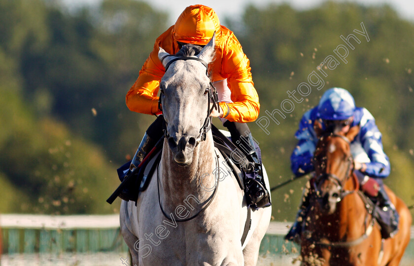 Cappananty-Con-0005 
 CAPPANANTY CON (Rhys Clutterbuck) wins The Betway Casino Handicap
Lingfield 4 Aug 2020 - Pic Steven Cargill / Racingfotos.com