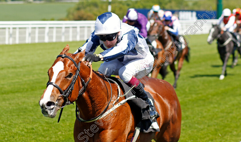 Barnwell-Boy-0002 
 BARNWELL BOY (Oisin Murphy) wins The William Hill / British EBF Novice Stakes
Goodwood 26 May 2023 - Pic Steven Cargill / Racingfotos.com