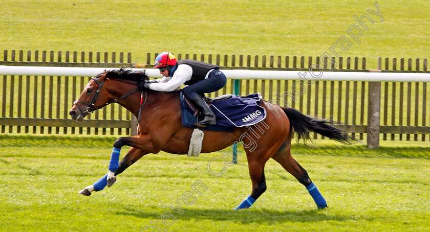 Cracksman-0005 
 CRACKSMAN (Frankie Dettori) galloping at Newmarket 17 Apr 2018 - Pic Steven Cargill / Racingfotos.com