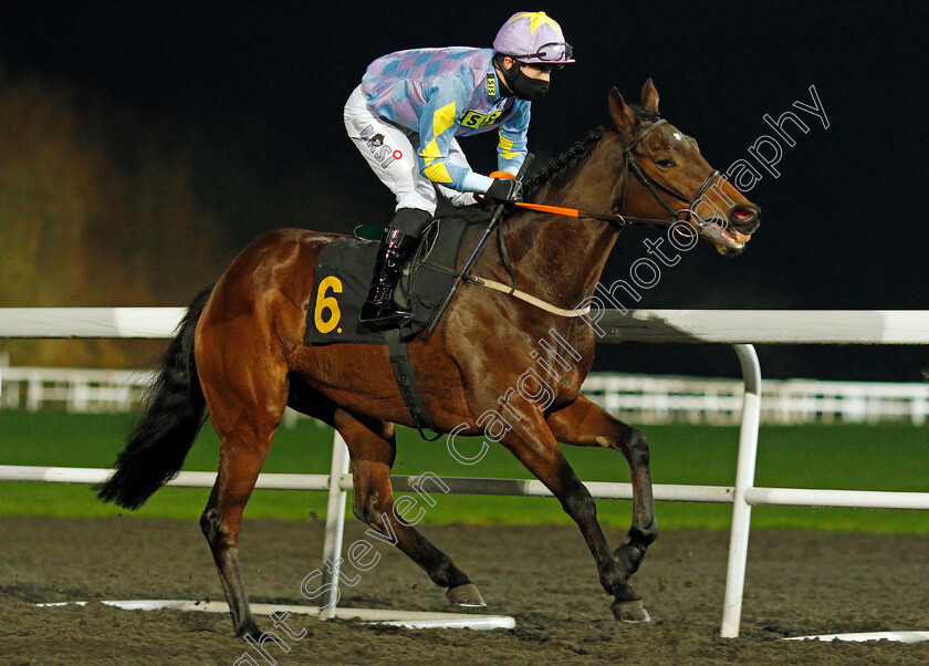 Dono-Di-Dio-0001 
 DONO DI DIO (Stefano Cherchi)
Kempton 2 Dec 2020 - Pic Steven Cargill / Racingfotos.com