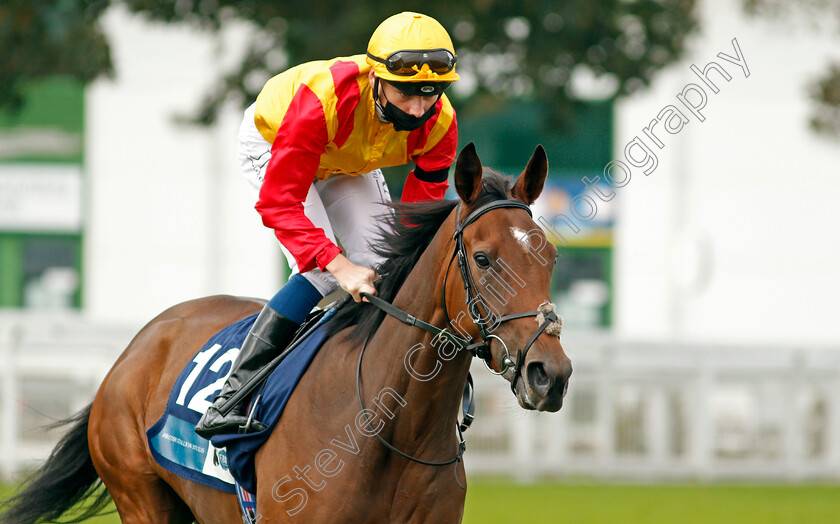 Virgin-Snow-0001 
 VIRGIN SNOW (Callum Shepherd)
Yarmouth 16 Sep 2020 - Pic Steven Cargill / Racingfotos.com